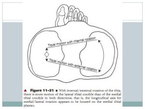 KNEE ROTATIONS (Dr. Dibyendunarayan Bid, PT)